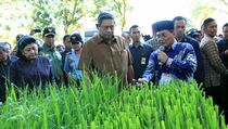 Kembali ke Jakarta, Presiden Puji Kemajuan Jawa Timur