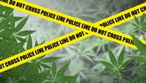 Bawa Ganja, Wisatawan Pulau Tidung Diciduk Polisi
