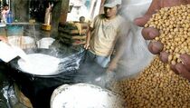 Produksi Kedelai Bali Capai 8.187 Ton