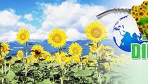 Menghemat Subsidi, Aprobi Desak Pemerintah Tambah Campuran Biodiesel 