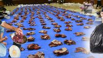 Usai Idul Adha, Permintaan Jasa Penggilingan Daging di Bantul Meningkat