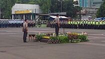 Minimalisir Pelanggaran dan Kecelakaan, Polisi Gelar Operasi Zebra
