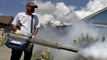 Pascabanjir, Warga Jakarta Diimbau Waspada DBD