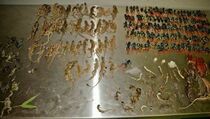 Ratusan Reptil Mati Kering di Johannesburg