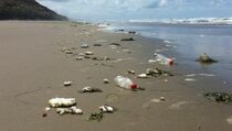 Pengelola Wisata Pantai Nambo Diimbau Jaga Kebersihan