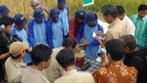 BKKBN Bengkulu Kekurangan 500 Orang Tenaga Penyuluh KB