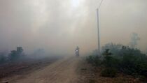 Antisipasi Kabut Asap, Menkokesra Minta Pemda Siapkan Rencana Aksi