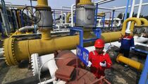 Bau Gas Diduga Berasal dari Limbah di Bogor