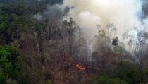 Besok, Menteri LHK Gelar Rakor Bahas Kebakaran Hutan di Riau