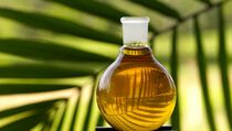 CPO Fund Dukung Program Biodiesel