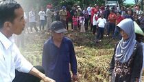 Yoris Yakini Lahir Poros Baru Penghadang Jokowi