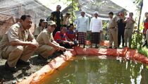 Banyuwangi Gencarkan Gerakan 100.000 Kolam Pekarangan