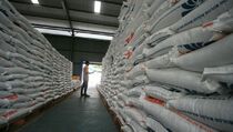 Mentan Harap Sultra Penyangga Produksi Padi Nasional
