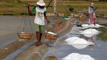 Rekomendasi Impor Garam dari Kemperin Dihapus
