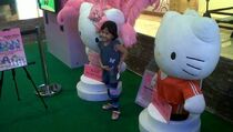 Hello Kitty Ternyata Bukan Kucing