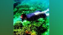 Lima Tips Snorkeling Bagi Pemula