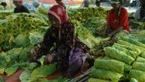 Baleg Belum Bentuk Pansus RUU Pertembakauan