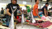 Gara-gara Cuaca Ekstrem dan Piala Dunia, Harga Ikan di Mamuju Naik 30%