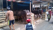 H-1 Idul Adha, Permintaan Hewan Kurban Meningkat Tajam