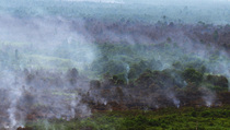 Ratusan Desa di Riau Rawan Kebakaran Hutan
