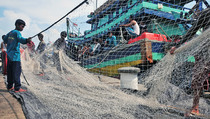Musim Hujan, Pasokan Ikan DKI Turun 20 Persen