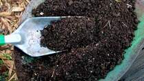 Dinas Kebersihan Tangerang Kelebihan Permintaan Pupuk Kompos