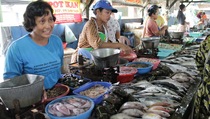 Harga Ikan di TPI Pekalongan Naik Rp 2.000 Per Kilogram