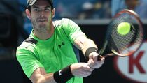 Murray ke Semifinal Australia Terbuka Kelima Kali Beruntun
