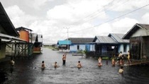 Banjir Rendam Ribuan Rumah di Barito Utara 