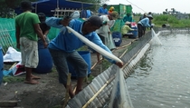 Pemerintah Targetkan Sertifikasi 8.000 Bidang Lahan Budi Daya