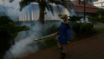 Dinkes DKI: Fogging Harus Sesuai Aturan