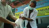 Dibatalkan Pengadilan, Dokter Hewan Lolos Gugatan Soal Anjing Rp 1,5 Miliar