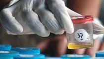 BNK Bengkulu Akan Wajibkan Calon Pejabat Punya Sertifikat Bebas Narkoba
