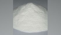 Harga Vanili di Manado Rp 250.000 Per Kg
