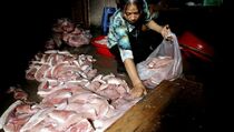 Pemerintah Tiongkok Sita Daging Beku Berusia 40 Tahun