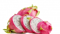 Agrowisata Jember Siapkan 6.000 Buah Naga