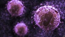 23.512 Pekerja Tertular Virus HIV/AIDS di 2014  