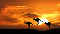 Kunci Rahasia Wisata Hemat dan Tetap Memuaskan di Australia