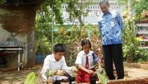 Urban Farming Dikembangkan di Kelapa Gading dan Sunter