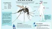 Warga Jateng Diminta Waspadai Virus Zika dengan PSN