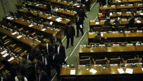 Pemerintah Diminta Pertimbangkan Paspor Diplomatik bagi Anggota DPR