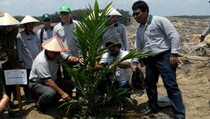 Petani Plasma Asian Agri Lakukan Replanting 310 Hektare Sawit