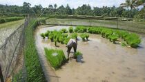 Pengembangan Bangunan Konservasi Air Antispasi Perubahan Iklim (1)