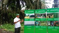 Atasi Hama, Asian Agri Minim Gunakan Bahan Kimia