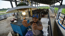 Asian Agri Akan Bangun 20 Pembangkit Listrik Biogas