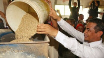 Program Upsus Jagung Hemat Devisa Rp 31 Triliun