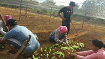 Well Harvest Kembangkan PPM Berbasis Desa