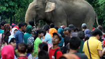700 Personel Amankan Taman Marga Satwa Ragunan