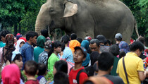 Hingga Siang Ini, 20.000 Orang Kunjungi Ragunan