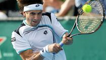 David Ferrer Juarai Acapulco untuk Ketiga Kalinya